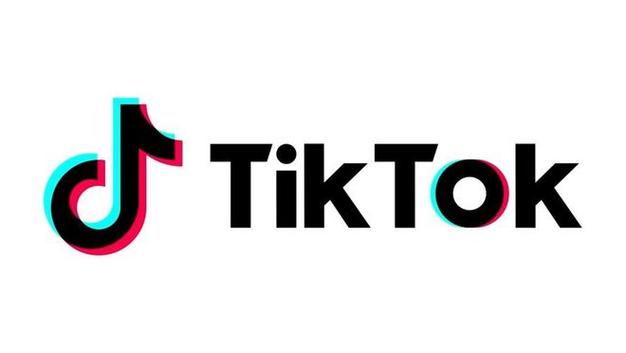 TikTok Launches A Feature For Bird Song Identification